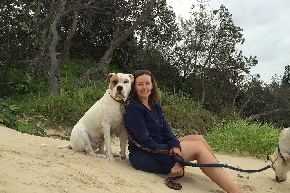 Dog friendly Pet friendly beach near Coffs Harbour New South Wales